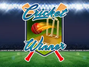 Cricket Winner game icon