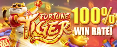Premium Slots and Live Games
